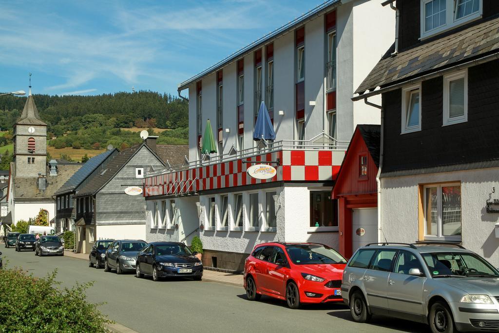 Hotel Garni Elegant Willingen  Kültér fotó